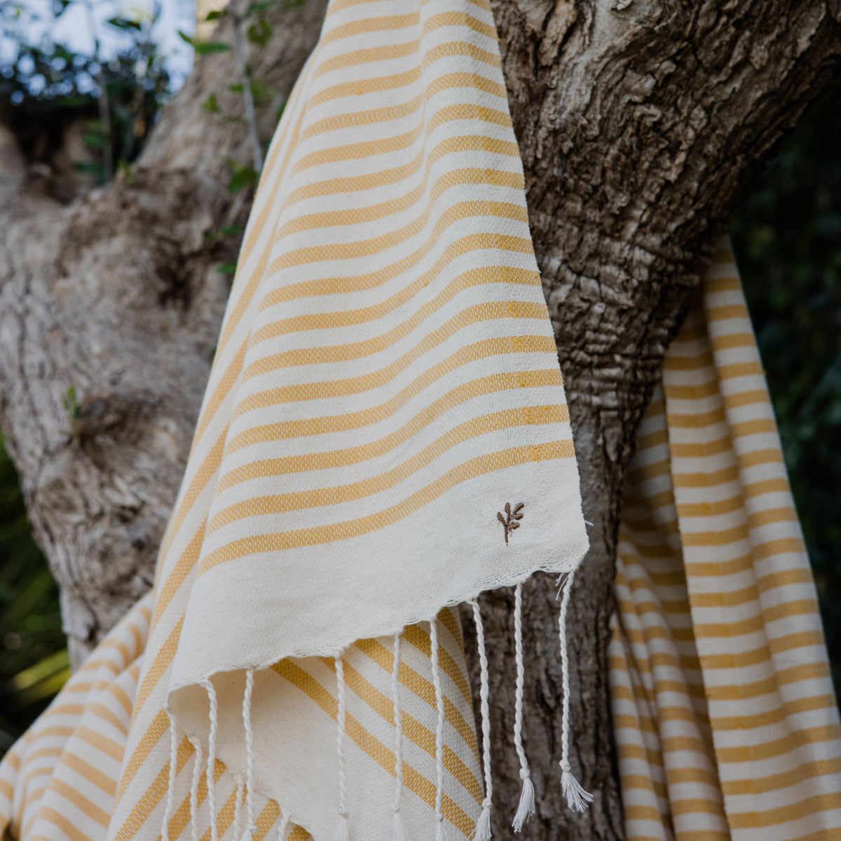 XXL Cotton Fouta 200x200 HOSSEGOR
